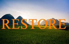 Restoring the believer that sinned